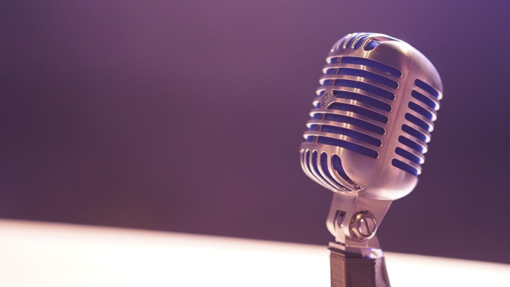 Mic for Podcast and Blog